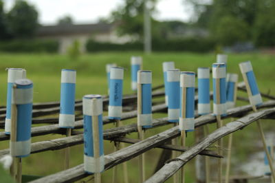 Close-up of cemetery