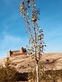 Low angle view of fort against blue sky