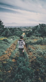 Rear view of boy walking on field