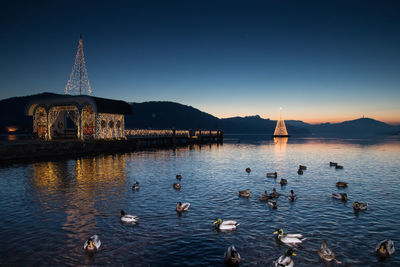 View of birds in lake against sky