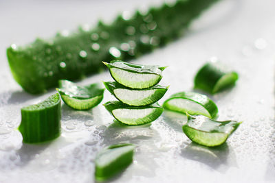 Fresh aloe vera leaves with a drop of water