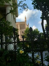 Low angle view of flowering plant by building against sky