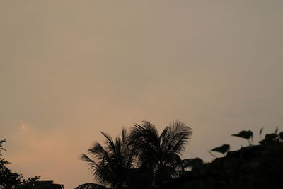 Silhouette palm trees against sky during sunset