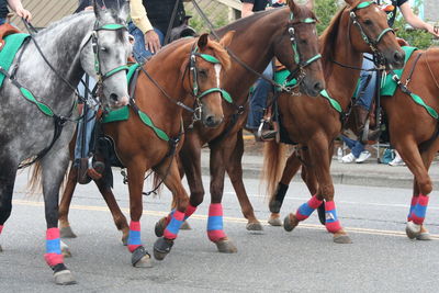 People riding horses at street on fourth of july independence day parade