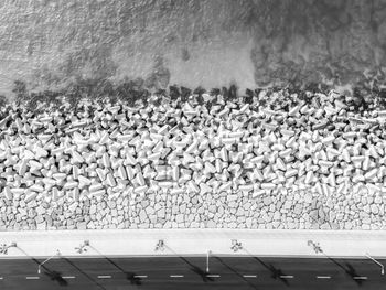 View of birds in water