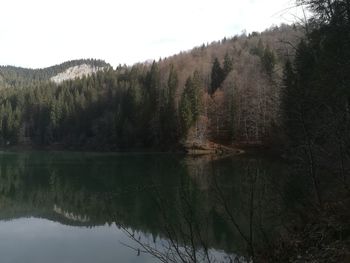 Scenic view of lake by trees against sky