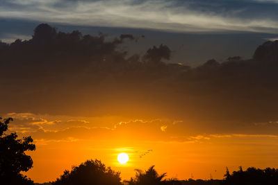 Silhouette trees against dramatic sky during sunset