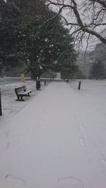 Snow covered landscape