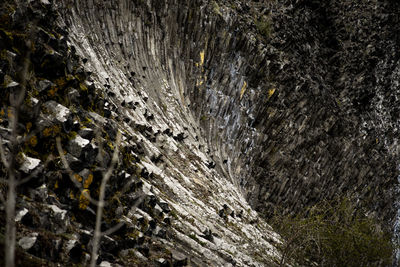 Full frame shot of rocks in water