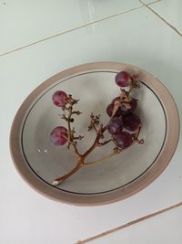 High angle view of berries on table