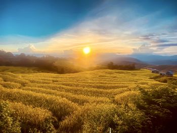 Scenic view of field against sky during sunset