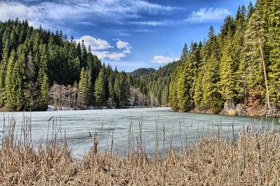 Scenic view of lake against sky