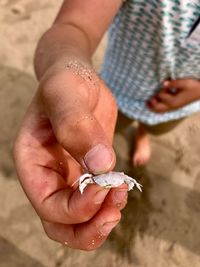 Low section of woman holding hands on sand