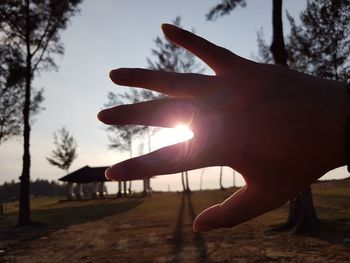 Close-up of silhouette hand against trees during sunset