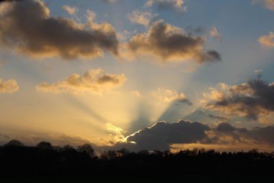 Low angle view of silhouette trees against sky during sunset