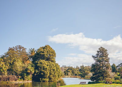 Trees by lake against sky