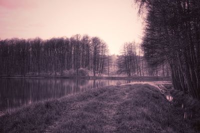 Scenic view of lake in forest against sky