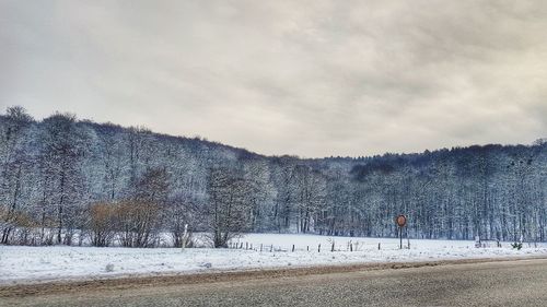 Snow covered road by trees against sky