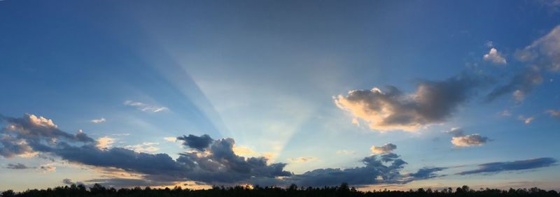 Low angle view of silhouette trees against sky during sunset