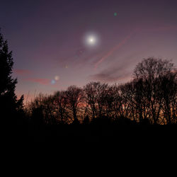 Low angle view of silhouette trees against sky at night