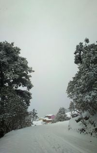 Trees on snow covered land against clear sky