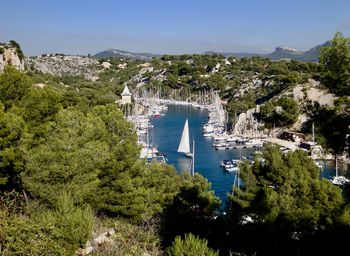 High angle view of bay and trees against sky