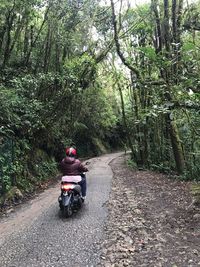 Rear view of man riding motorcycle on road