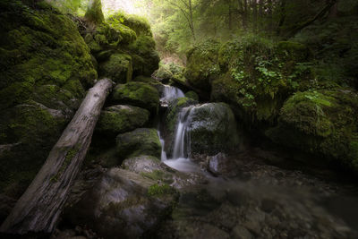 Stream flowing through rocks in forest