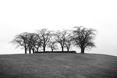 Bare tree on field against clear sky