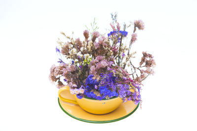 Close-up of purple flowering plant against white background