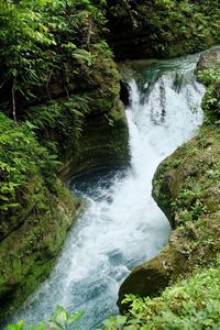 Scenic view of waterfall