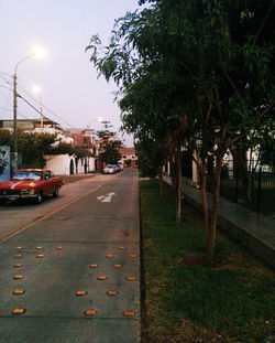 Road along trees