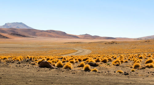 Scenic view of desert against clear sky