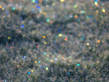 Defocused image of trees