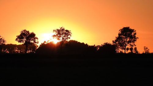 Silhouette trees against orange sky