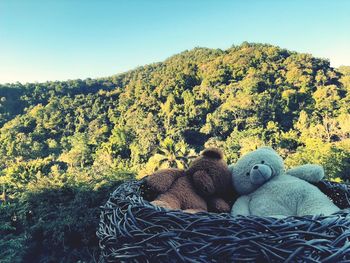 View of stuffed toy on tree against sky