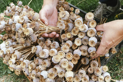 Cropped hand of woman holding flowers