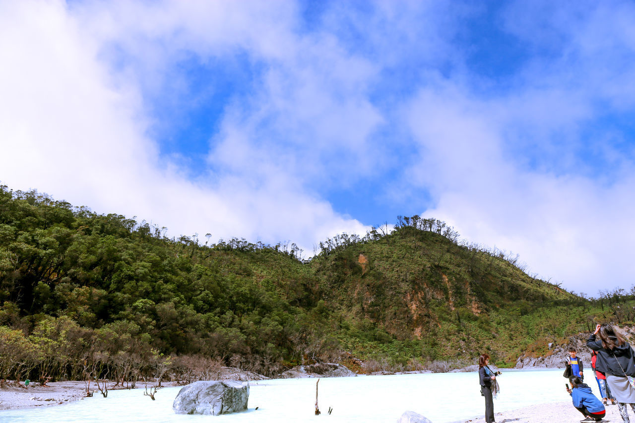 TREES ON SNOW COVERED MOUNTAIN AGAINST SKY