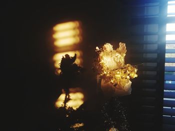 Close-up of illuminated flower plants against window