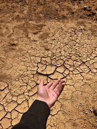 High angle view of human hand on sand