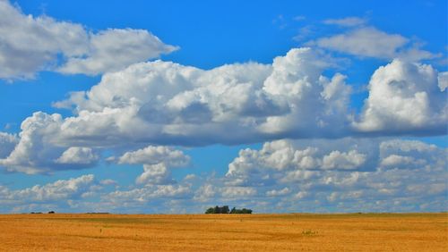 Scenic view of field against cloudy sky