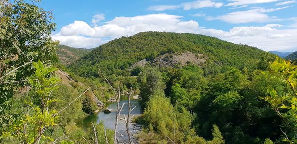 Scenic view of river amidst trees against sky