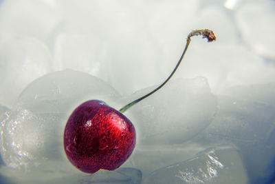 Close-up of cherry on ice