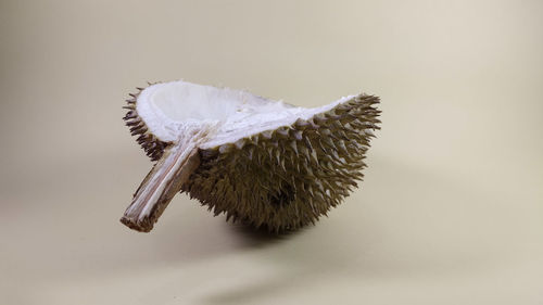Close-up of a bread on white background
