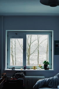 Trees seen through window at home