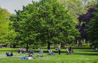 People relaxing on grassy field in park