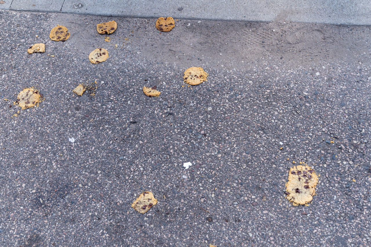 HIGH ANGLE VIEW OF DRY LEAVES ON ROAD