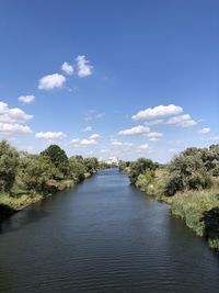 Scenic view of river amidst trees against sky