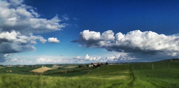 Scenic view of grassy field against cloudy sky