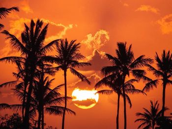 Silhouette palm trees against romantic sky at sunset